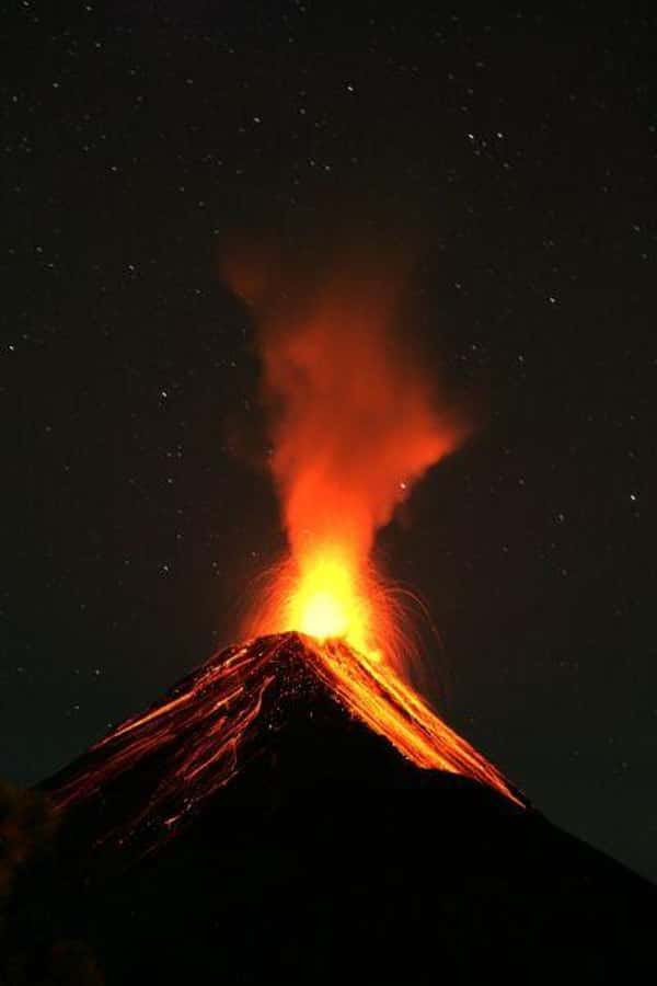 1 Day Acatenango Volcano Hike from Antigua - Conifers, dry forest, and the storm-beaten tree line