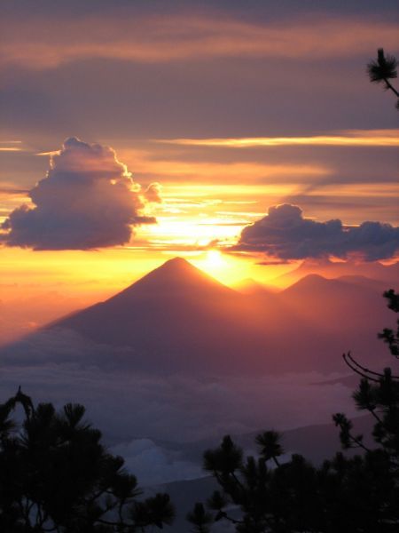 Acatenango Volcano 2-Day Hike - Through fields and cloud forest