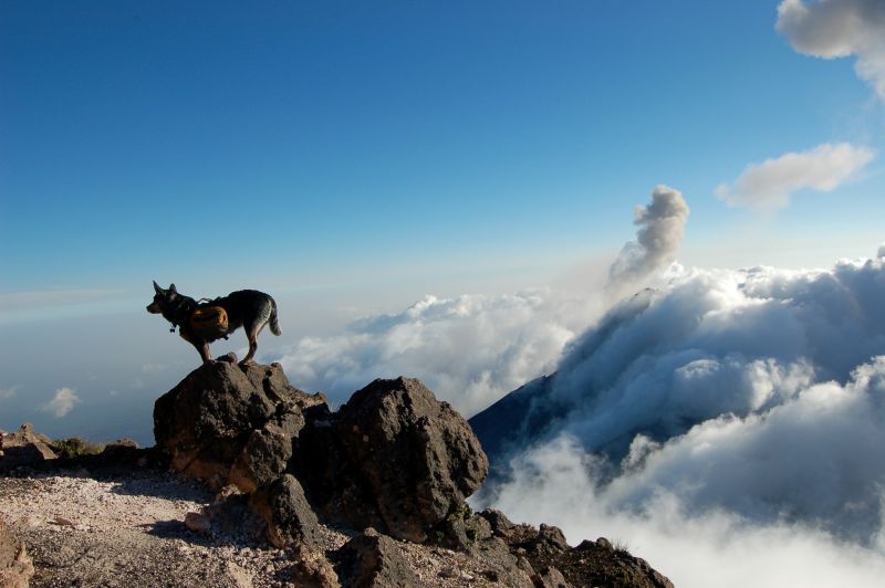 Acatenango Volcano 2-Day Hike - A different route down