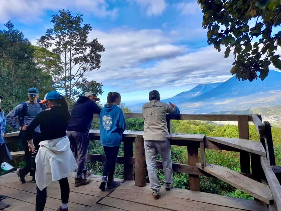 Antigua Guatemala: Private Day Tour to Pacaya Volcano - Key points to know before you book