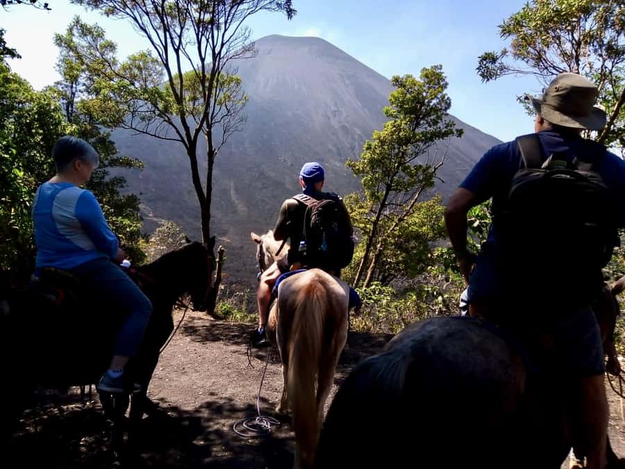 Antigua Guatemala: Private Day Tour to Pacaya Volcano - Who should book this Pacaya outing