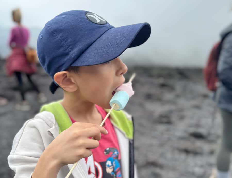 Antigua: Marshmallows Roasting at Pacaya Volcano 6-hour Tour - What this Pacaya tour is really like