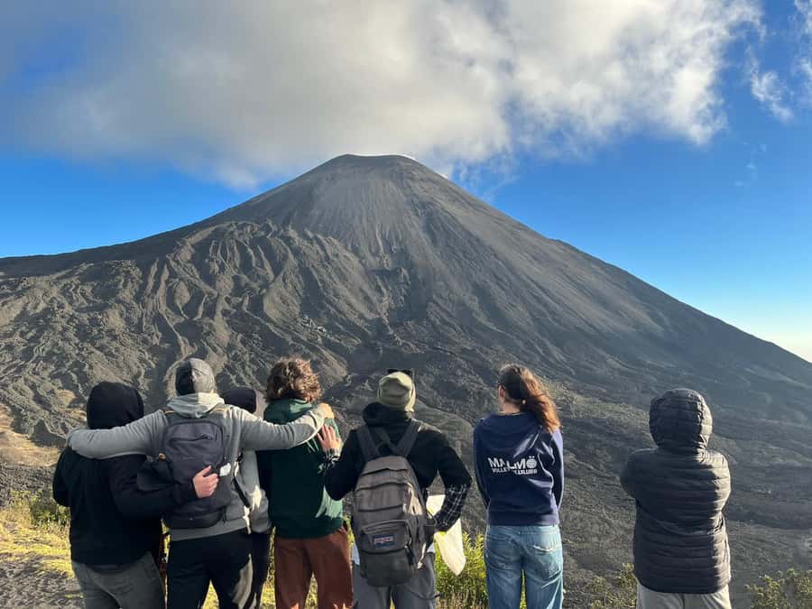 Antigua: Marshmallows Roasting at Pacaya Volcano 6-hour Tour - Marshmallows on hot volcanic stone