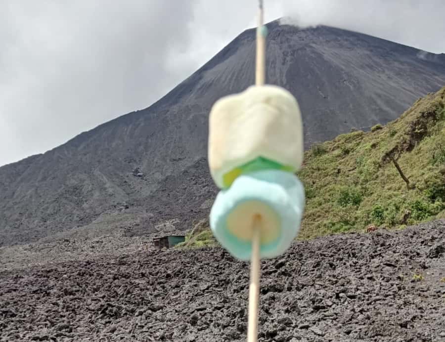 Antigua: Marshmallows Roasting at Pacaya Volcano 6-hour Tour - Is $29 a good deal?