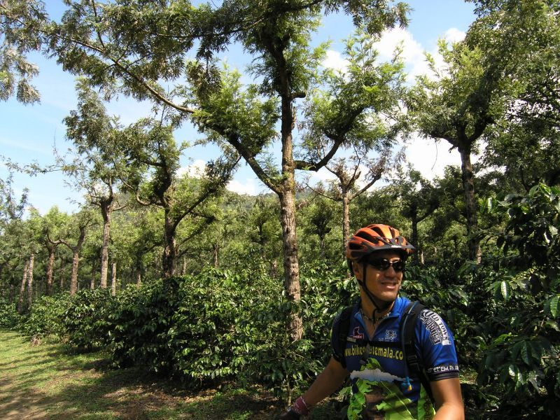 Antigua Sip 'n Cycle Half-Day Bike Ride and Coffee Tour - Guides and language support