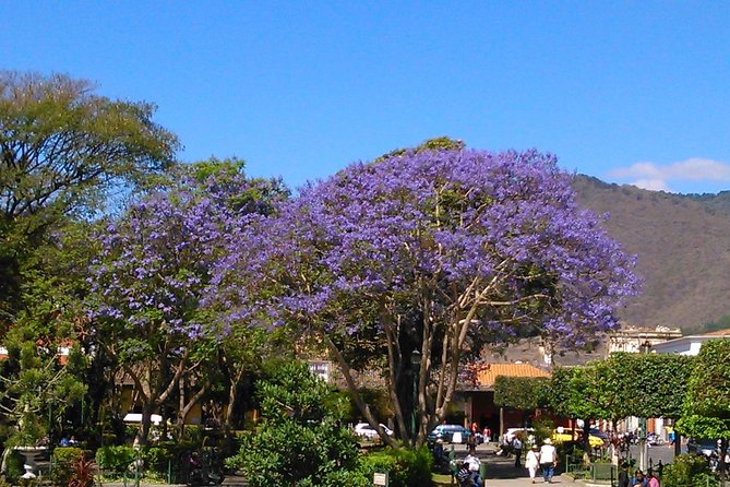 Antigua Walking Tour Morning and Afternoon - San José Cathedral and the remains of Santiago