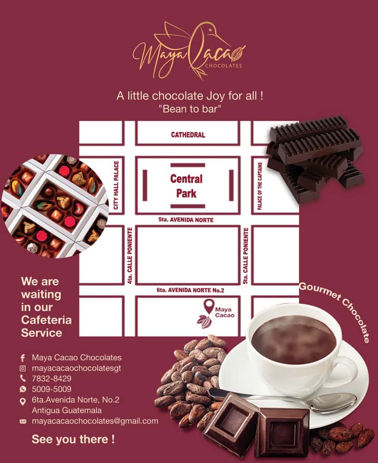 Chocolate workshop; gastronomic experience of cocoa. - Grinding cocoa and forming your own bar