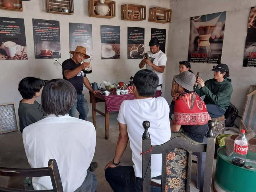 Coffee farm experience - Key points to know before you book