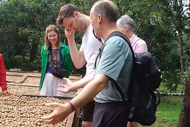 Coffee & Macadamia Fincas Tour - Valhalla’s macadamia trees and community work