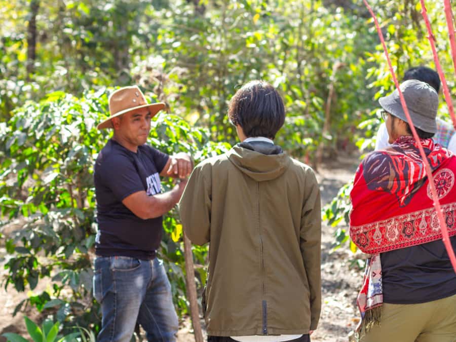 Coffee Tour in Antigua Guatemala - Is $69 a fair price for three and a half hours?
