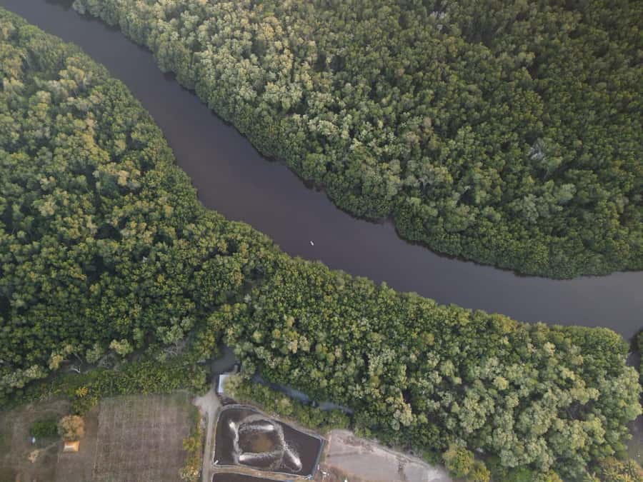 El Paredón: Mangrove Boat Tour with Optional Fishing - Choosing 8:00 AM or 4:00 PM