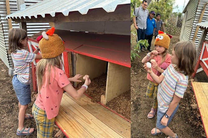 Experience: Organic Coffee, Avocados, Honey & More! - The Drive Through San Pedro Las Huertas