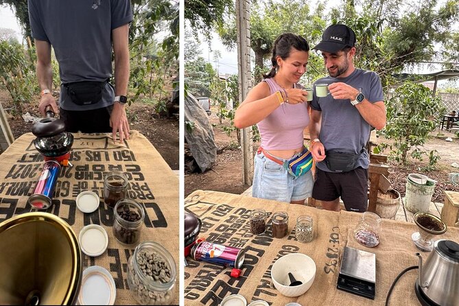 Experience: Organic Coffee, Avocados, Honey & More! - Avocado Trees and a Fresh Tortilla Lunch