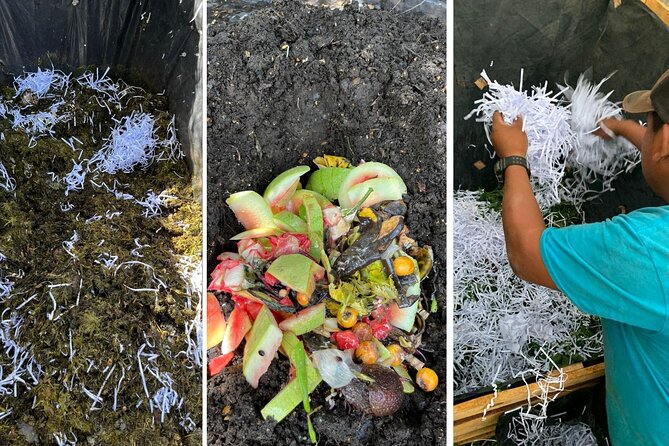 Experience: Organic Coffee, Avocados, Honey & More! - Four Compost Systems You Can Copy at Home