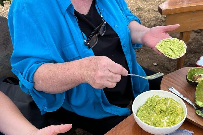 Experience: Organic Coffee, Avocados, Honey & More! - Timing, Comfort, and What to Know Before You Go