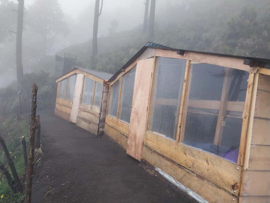 From Antigua: 2-Day Acatenango Volcano Hiking with Guide - The 4:00 a.m. summit walk