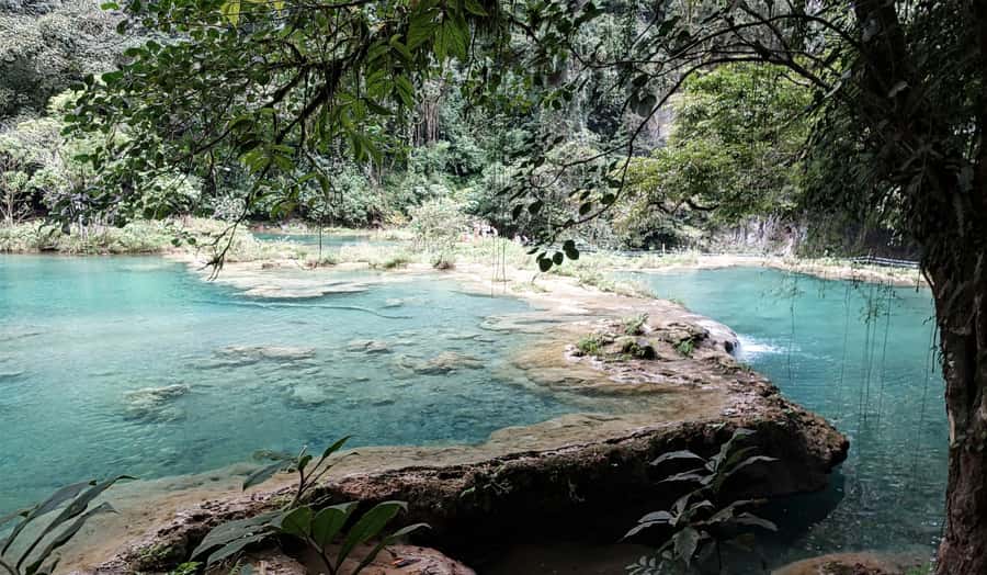 From Antigua: 3-Day Cobán & Semuc Champey Tour - Day one: forest trails at El Biotopo del Quetzal