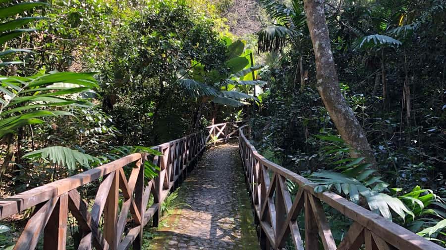 From Antigua Guatemala: Birdwatching and Scenic Hiking Tour - Key Points Before You Book