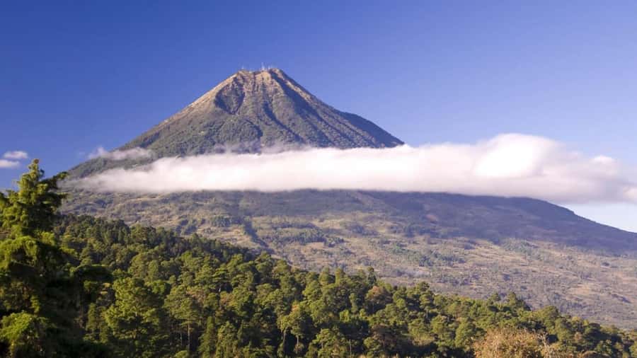 From Antigua Guatemala: Birdwatching and Scenic Hiking Tour - What You Might Spot Among the Trees