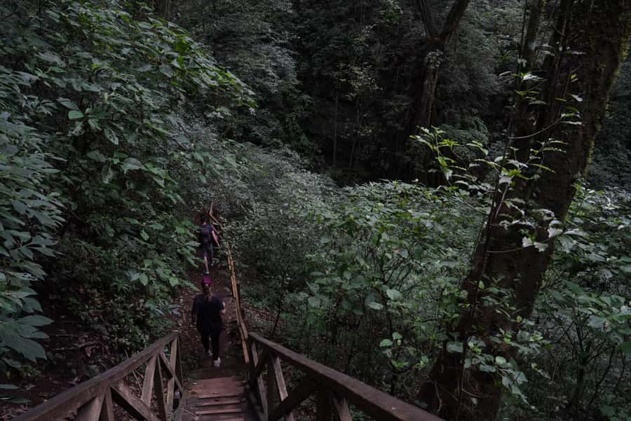 From Antigua Guatemala: Birdwatching and Scenic Hiking Tour - Reaching the Summit for Volcano Views