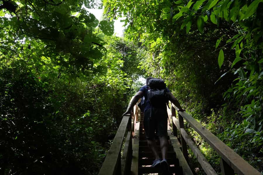 From Antigua Guatemala: Birdwatching and Scenic Hiking Tour - Should You Book the Birdwatching Tour?