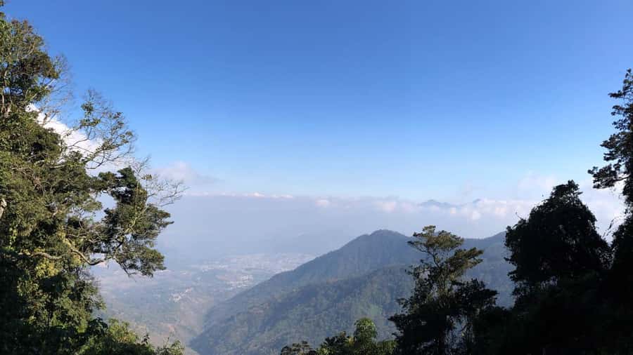 From Antigua Guatemala: Birdwatching and Scenic Hiking Tour - Starting in the Lower Trails