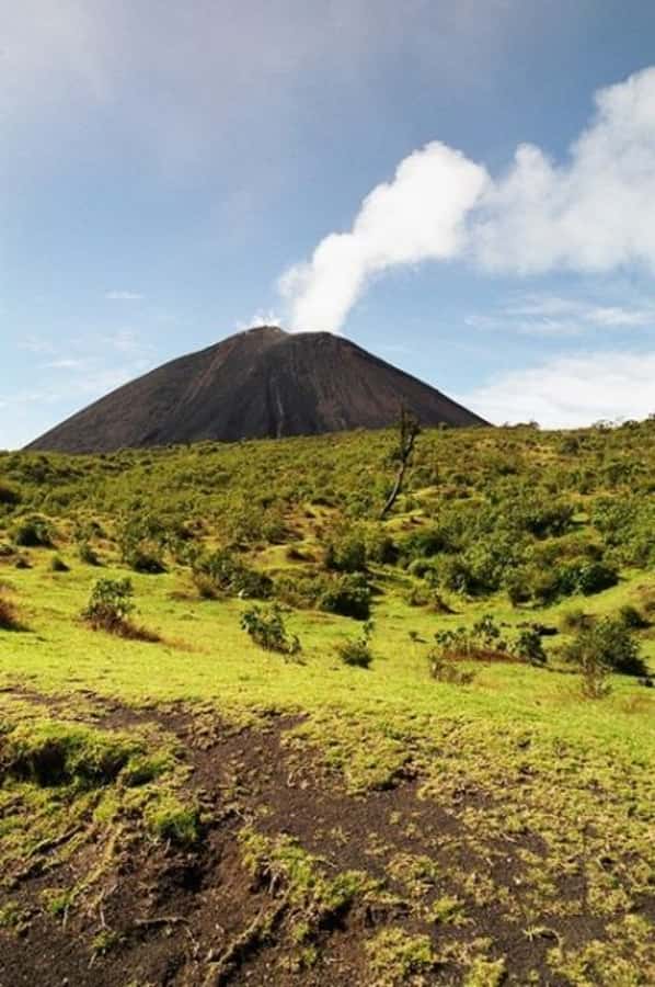 From Antigua: Pacaya Volcano Day Hike - Key points to know before booking