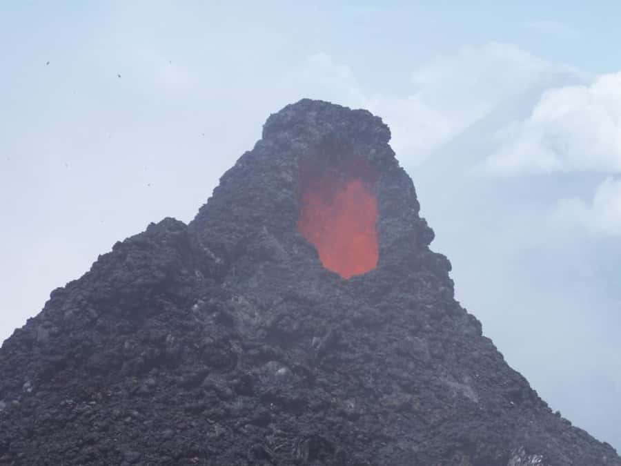 From Antigua: Pacaya Volcano Day Hike - The descent through Pacaya’s greener side