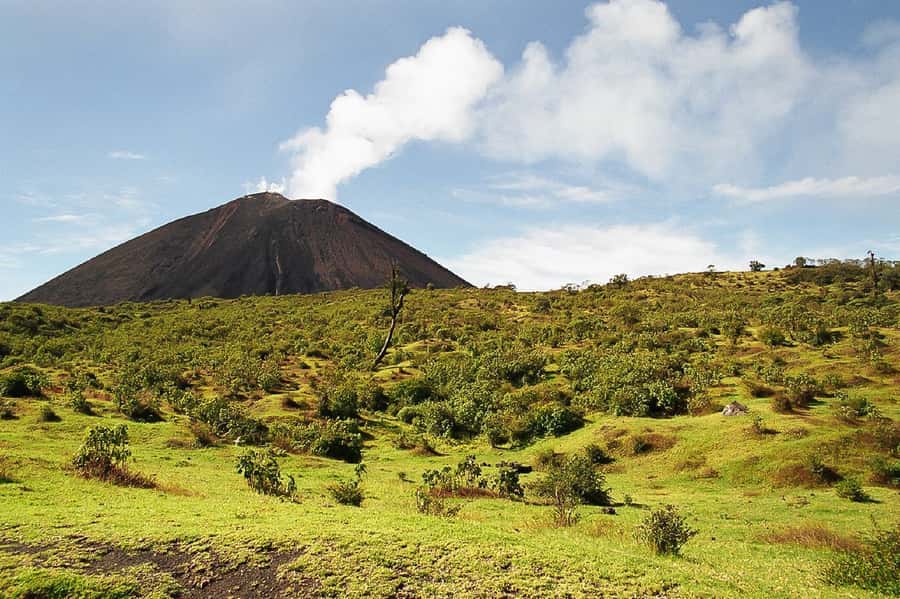 From Antigua: Pacaya Volcano Trek - Who should book this Pacaya trek