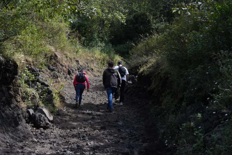 From Antigua to Pacaya Private Tour - The optional $50 volcano pizza