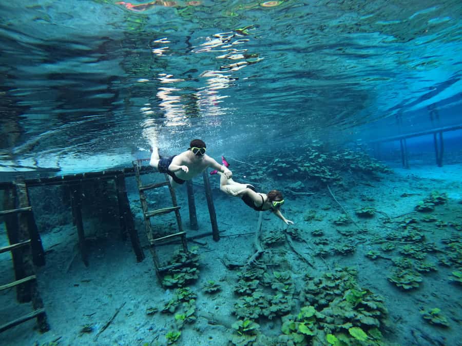 From Flores: Blue Crater Adventure All Inclusive - Blue Crater Adventure: Key Points