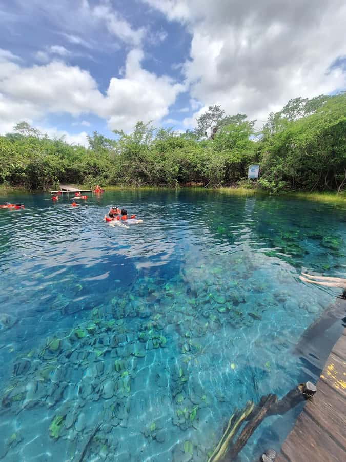 From Flores: Blue Crater Adventure All Inclusive - Two and a Half Hours at Crater Azul