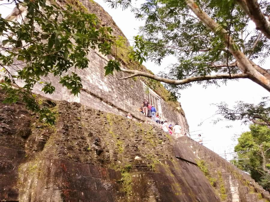 From Flores: Guided Tour to the Ruins of Tikal - Entering Tikal with the ticket work handled