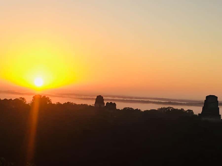 From Flores: Tikal Guided Tour with Transportation - Why Tikal works best with a guide