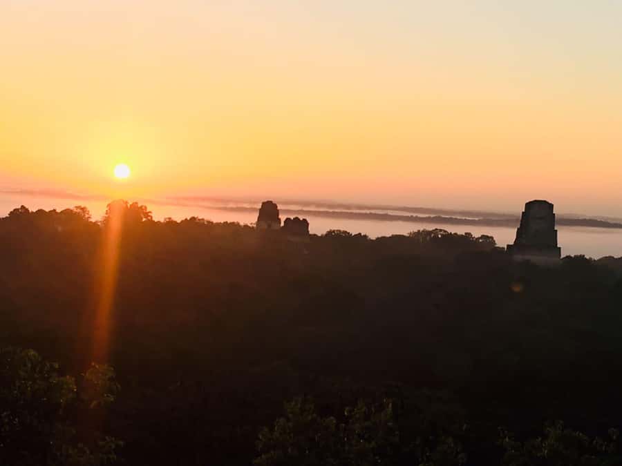 From Flores: Tikal Guided Tour with Transportation - Temple IV, the Lost World, and the big views