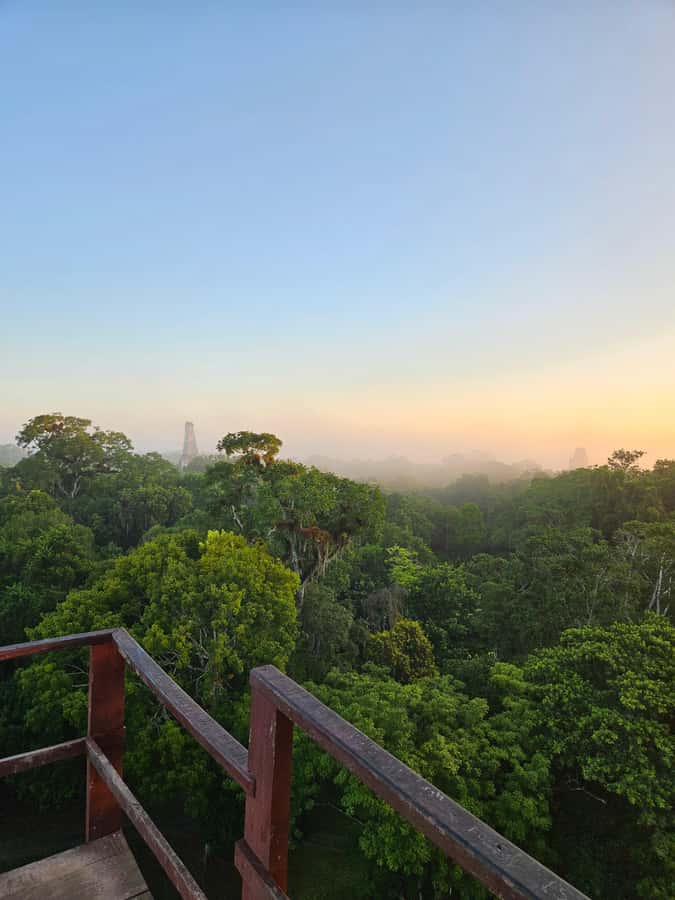 From Flores: Tikal National Park All Inclusive - Key points to know before booking