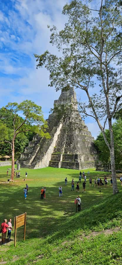 From Flores: Tikal National Park All Inclusive - The 90-minute ride into Petén