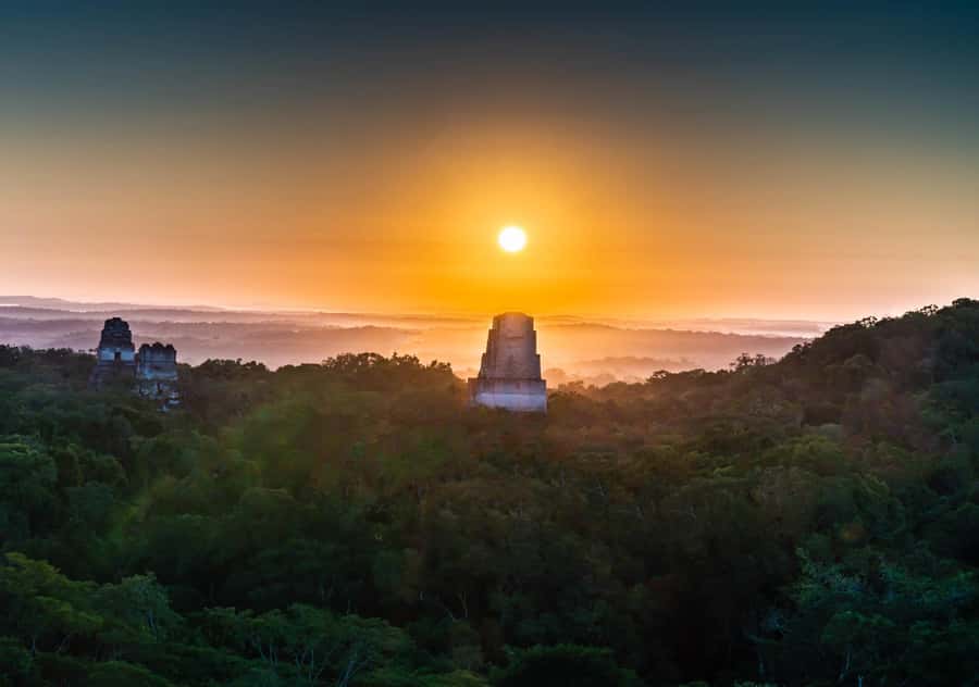 From Flores: Tikal Ruins Sunrise Guided Tour - Meeting at Yo Amo Petén before dawn