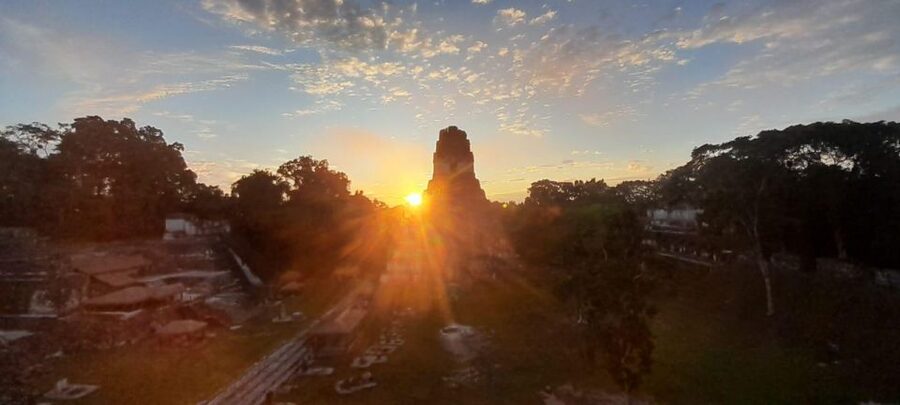 From Flores: Tikal Sunrise Archaeological Tour - Wildlife in the ruins