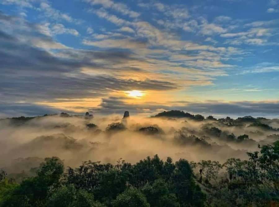 From Flores: Tikal Sunrise Extended Private Tour - Why Temple IV makes the 3:00 am start worthwhile