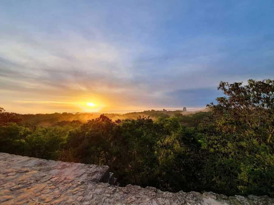 From Flores: Tikal Sunrise Extended Private Tour - Breakfast comes after the climb