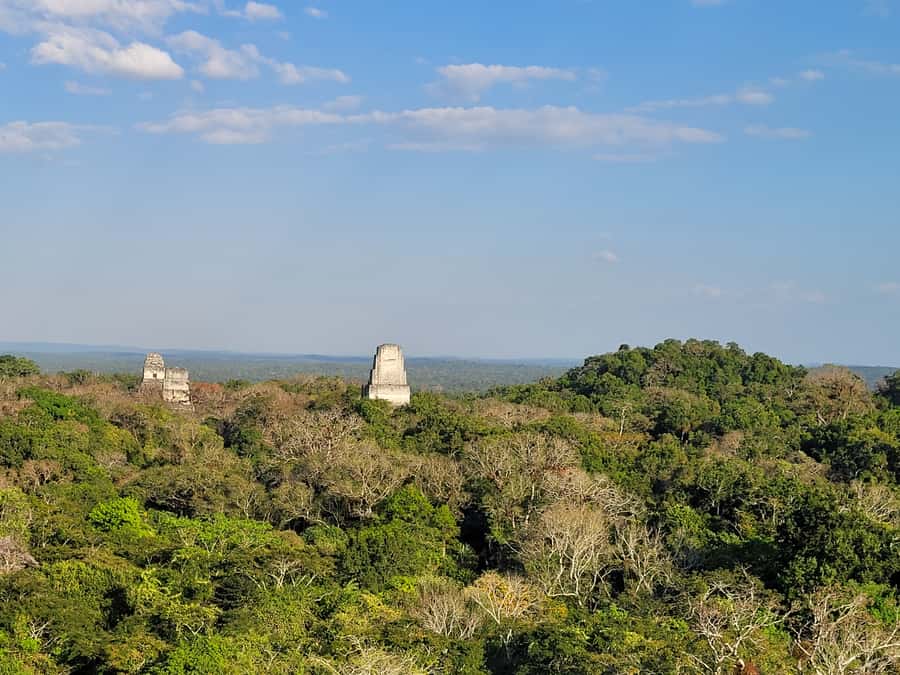 From Flores: Tikal VIP Exclusive cultural Tour All inclusive - Walking among the major Maya temples