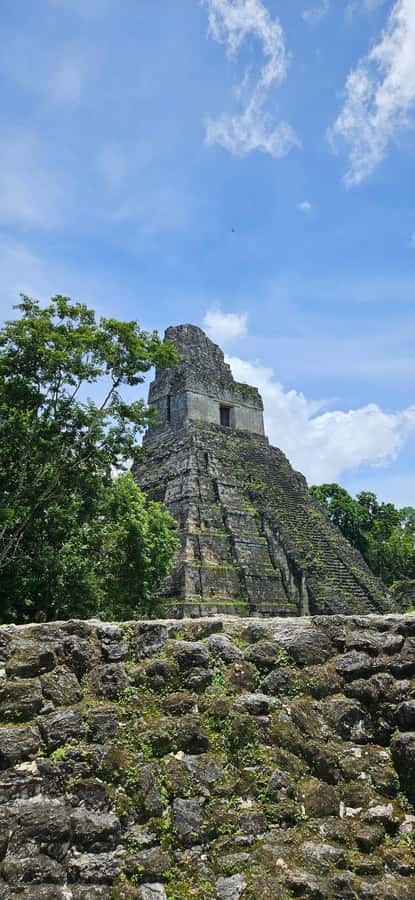 From Flores: Tour Tikal All Inclusive - Why Tikal deserves five hours, not a quick stop