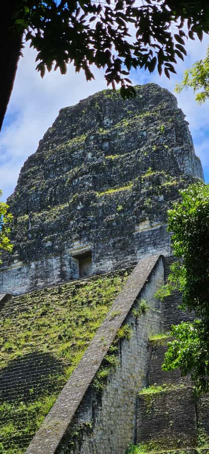 From Flores: Tour Tikal All Inclusive - Lunch after the ruins