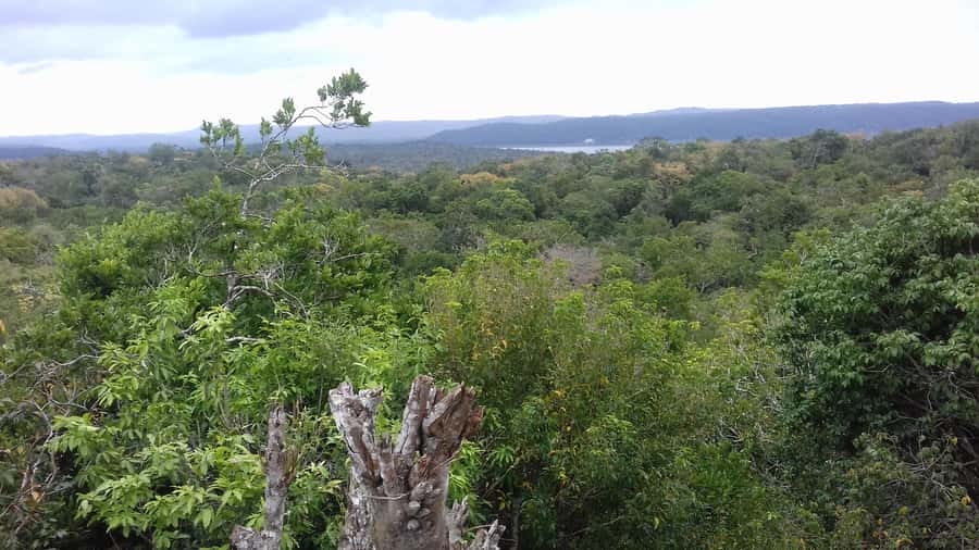 From Flores: Yaxha Ruins Guided Tour - Why Yaxha makes a good sunset outing