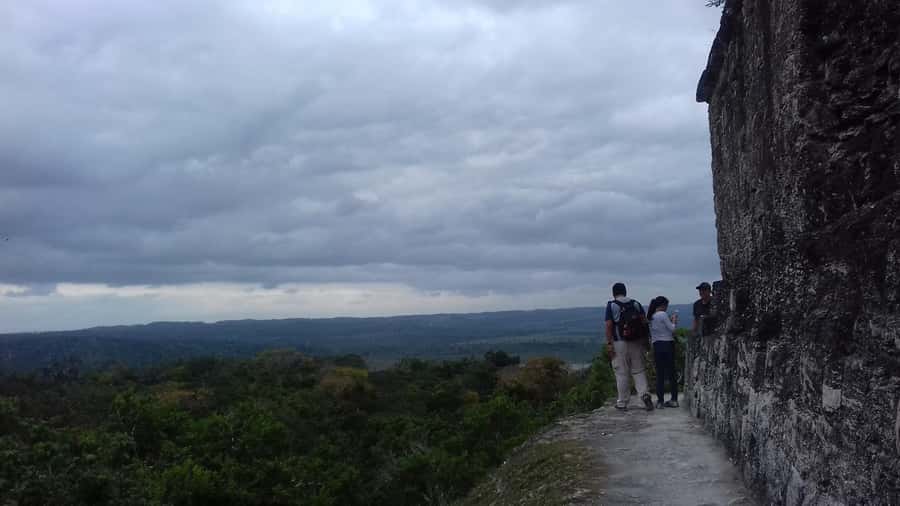 From Flores: Yaxha Ruins Guided Tour - Wildlife and the feel of the park