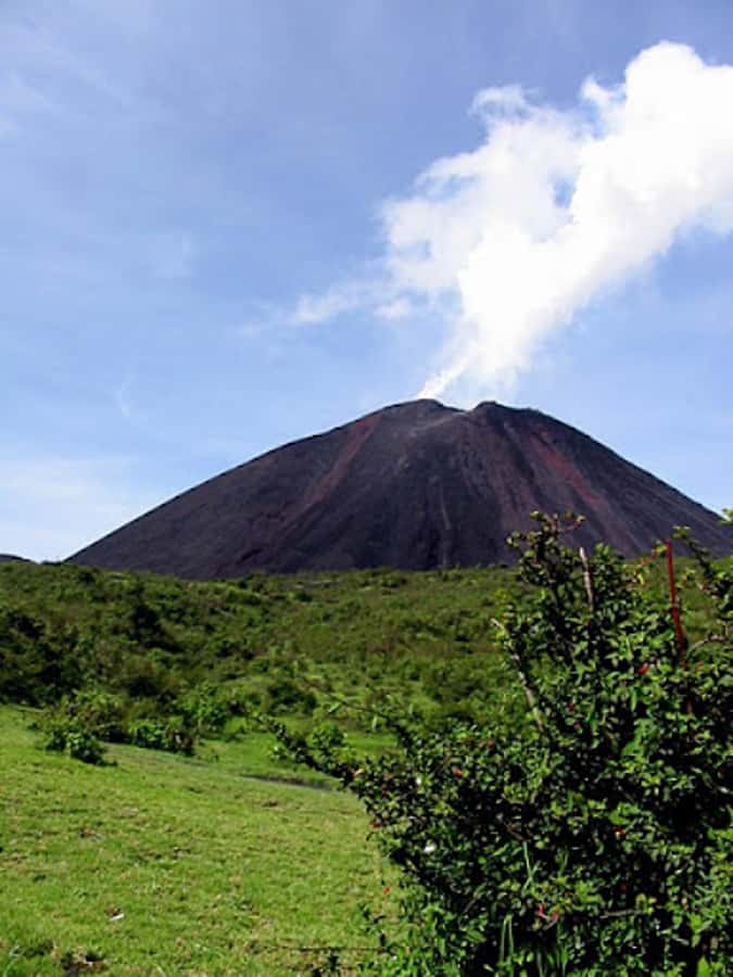 From Guatemala City or Antigua: Pacaya Volcano Day Tour - Why Pacaya makes a strong half-day volcano trip