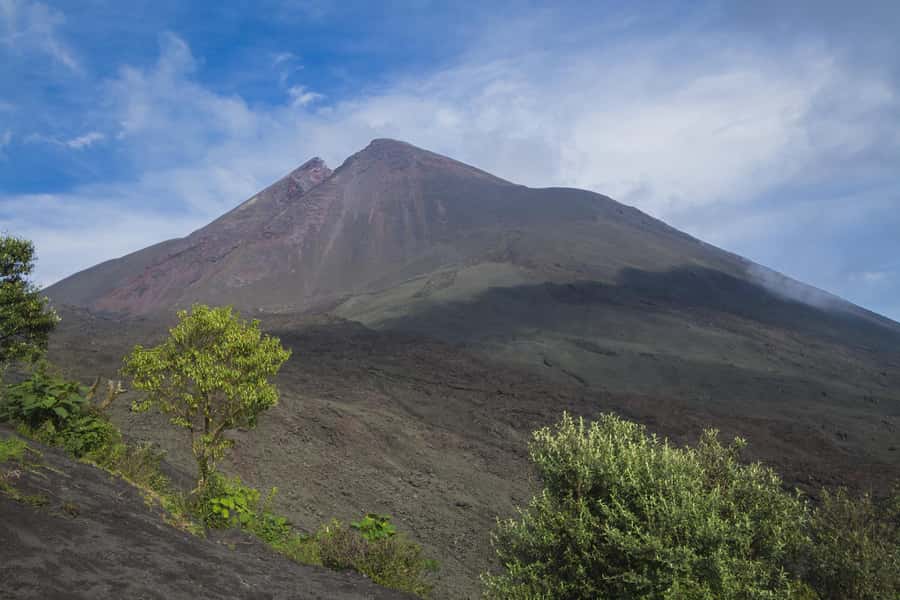 From Guatemala City or Antigua: Pacaya Volcano Day Tour - From hotel pickup to the volcano entrance