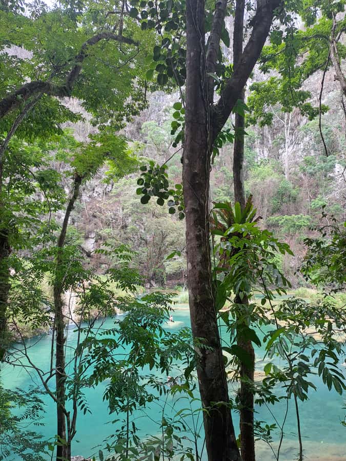 From Guatemala City to Semuc Champey in one day. - Breakfast and the first Alta Verapaz stop