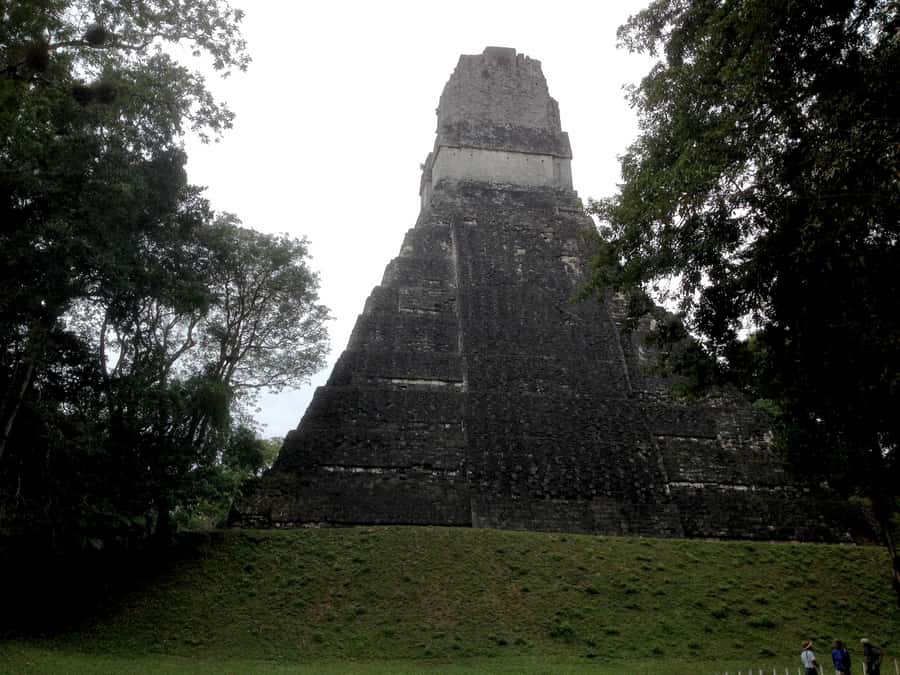 From San Ignacio: Tikal Maya Site Day-Trip with Local Lunch - The guides and drivers make the difference